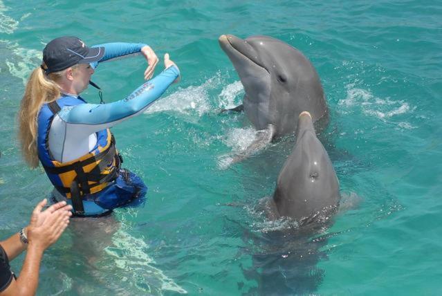 Oasis 1 Villa Tropicale グランベ エクステリア 写真