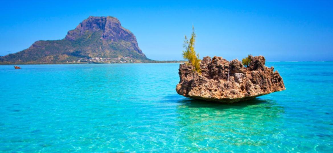 Oasis 1 Villa Tropicale グランベ エクステリア 写真