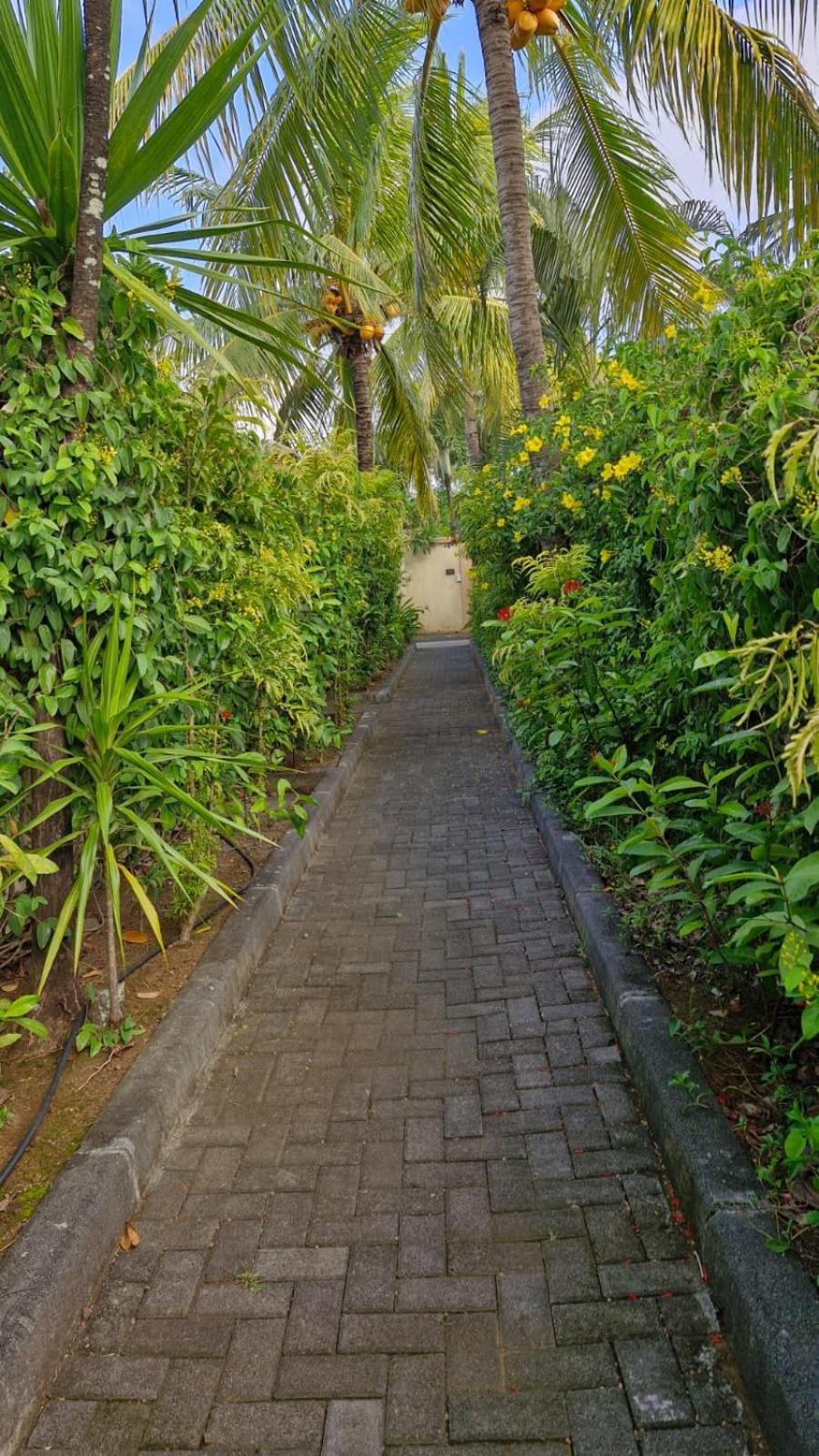 Oasis 1 Villa Tropicale グランベ エクステリア 写真